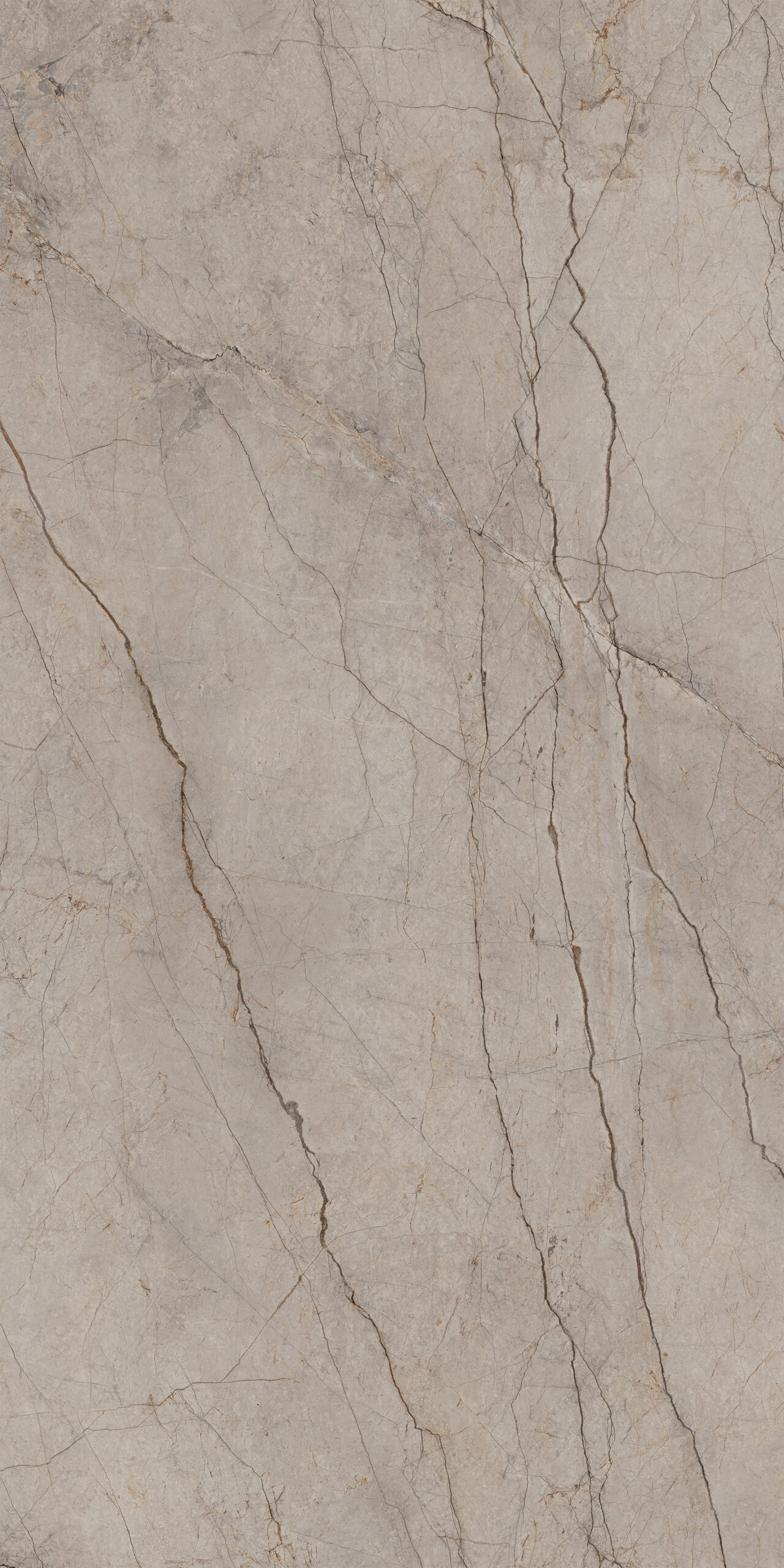 Silver Root Grey